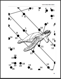 Gifted Math Projects
